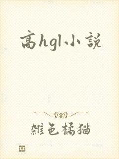 高hgl小说