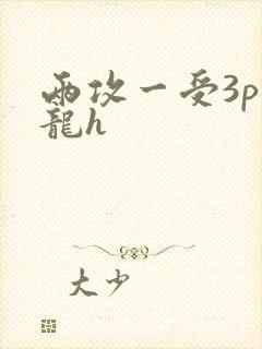 两攻一受3p双龙h