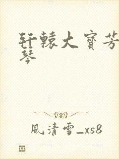 轩辕大宝芳菲雅琴