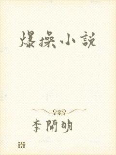 爆操小说