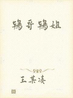 鸨哥鸨姐
