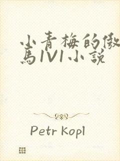 小青梅的傲娇竹马1V1小说