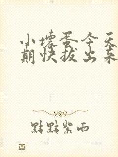 小坏蛋今天危险期快拔出来