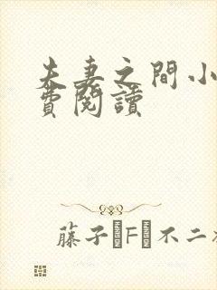 夫妻之间小说免费阅读