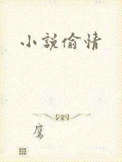 小说偷情
