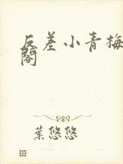 反差小青梅笔趣阁