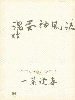 混蛋神风流史txt