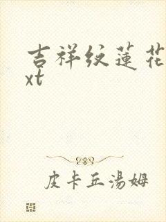 吉祥纹莲花楼txt