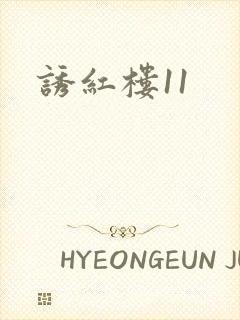诱红楼11