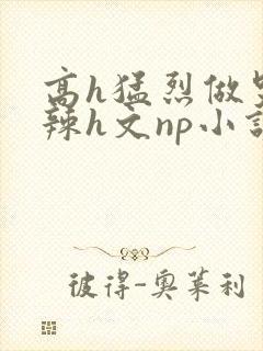 高h猛烈做哭高辣h文np小说