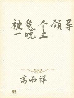 被几个领导玩弄一晚上