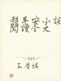 赵平安小说免费阅读全文