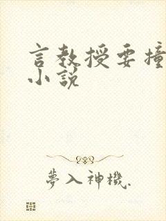 言教授要撞坏了小说