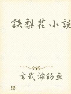 铁梨花小说