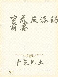 穿成反派的炮灰前妻