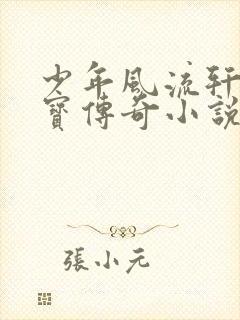 少年风流轩辕大宝传奇小说