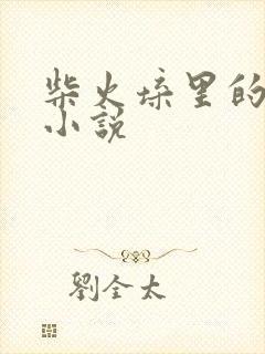 柴火垛里的疯狂小说