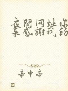 夜间网址你会回来感谢我的