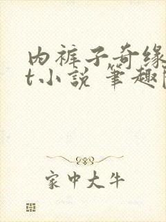 内裤子奇缘txt小说 笔趣阁