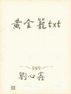 黄金笼txt