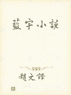 蓝宇小说