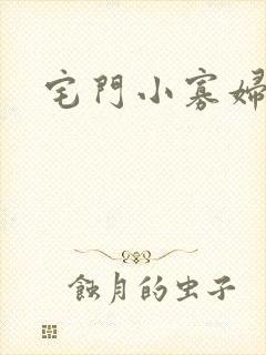 宅门小寡妇