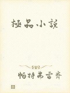 极品小说