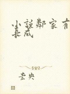 小说邻家有女初长成