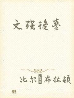 文强后台