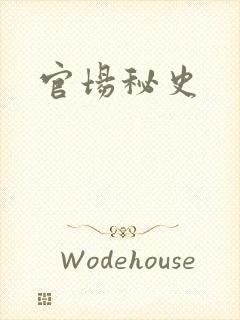 官场秘史