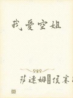 我爱空姐
