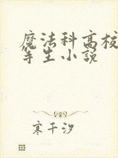 魔法科高校的劣等生小说