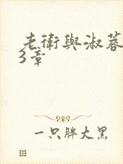 老卫与淑蓉第13章