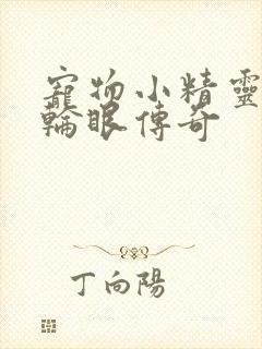 宠物小精灵之写轮眼传奇