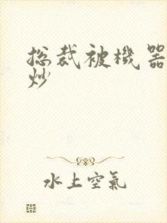 总裁被机器人爆炒