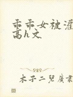 乖乖女被灌满精高h文