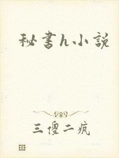 秘书h小说