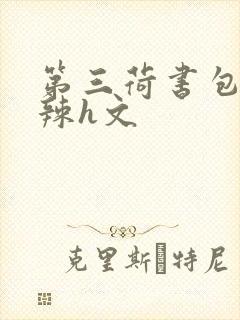 第三荷书包网高辣h文
