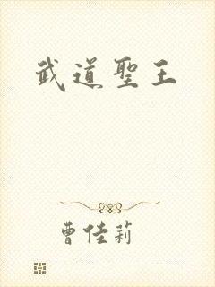 武道圣王