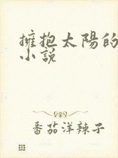 拥抱太阳的月亮小说