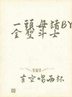 一头母猪BY黄金圣斗士