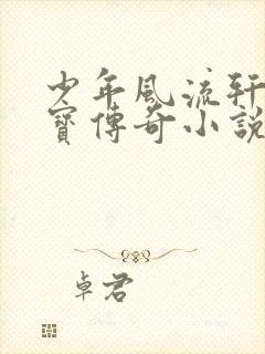 少年风流轩辕大宝传奇小说