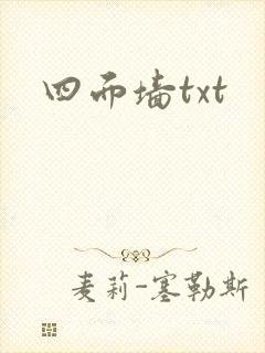 四面墙txt