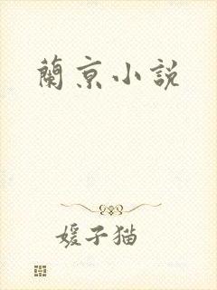 兰京小说