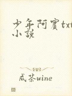 少年阿宾txt小说