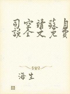 司空靖苏月汐小说全文免费阅读