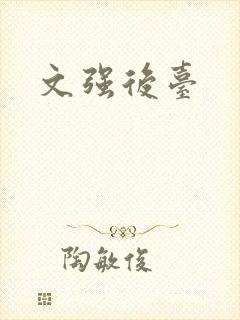 文强后台