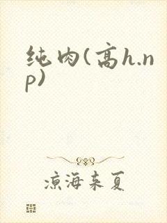 纯肉(高h.np)