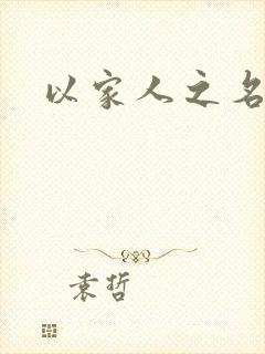 以家人之名小说