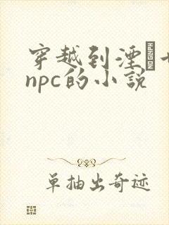 穿越到湮婸世界npc的小说